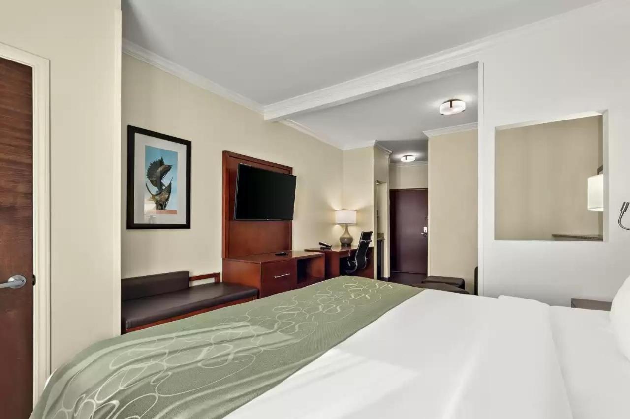Comfort Suites Central Corpus Christi Zewnętrze zdjęcie