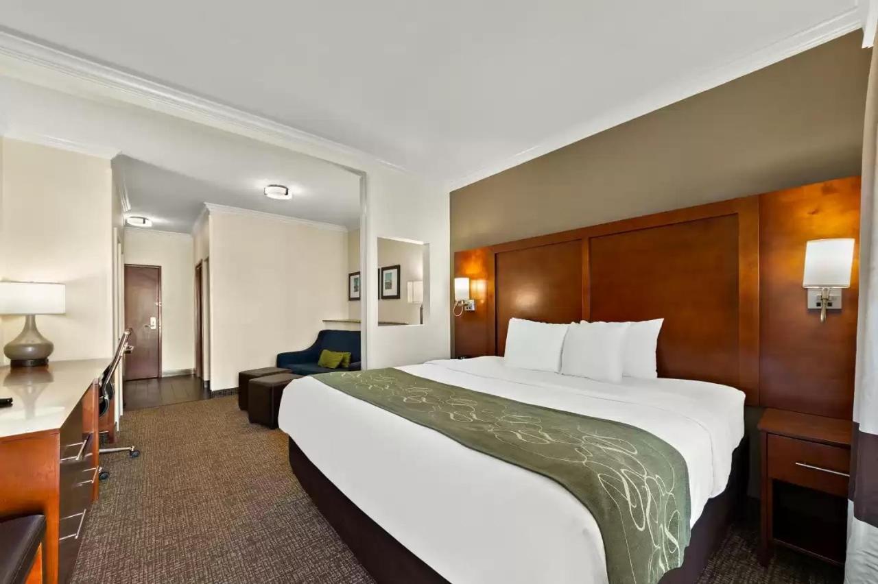 Comfort Suites Central Corpus Christi Zewnętrze zdjęcie